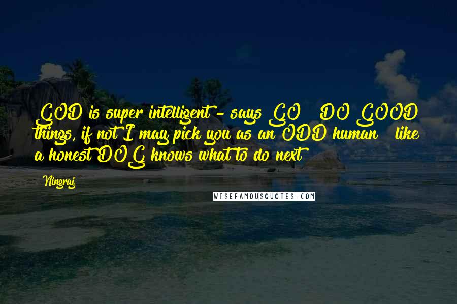 Ningraj Quotes: GOD is super intelligent - says GO & DO GOOD things, if not I may pick you as an ODD human & like a honest DOG knows what to do next!