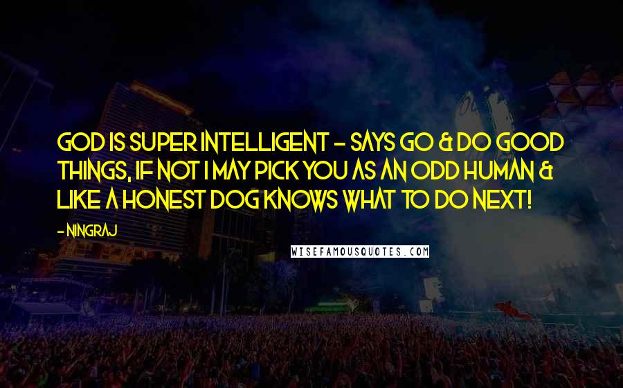 Ningraj Quotes: GOD is super intelligent - says GO & DO GOOD things, if not I may pick you as an ODD human & like a honest DOG knows what to do next!