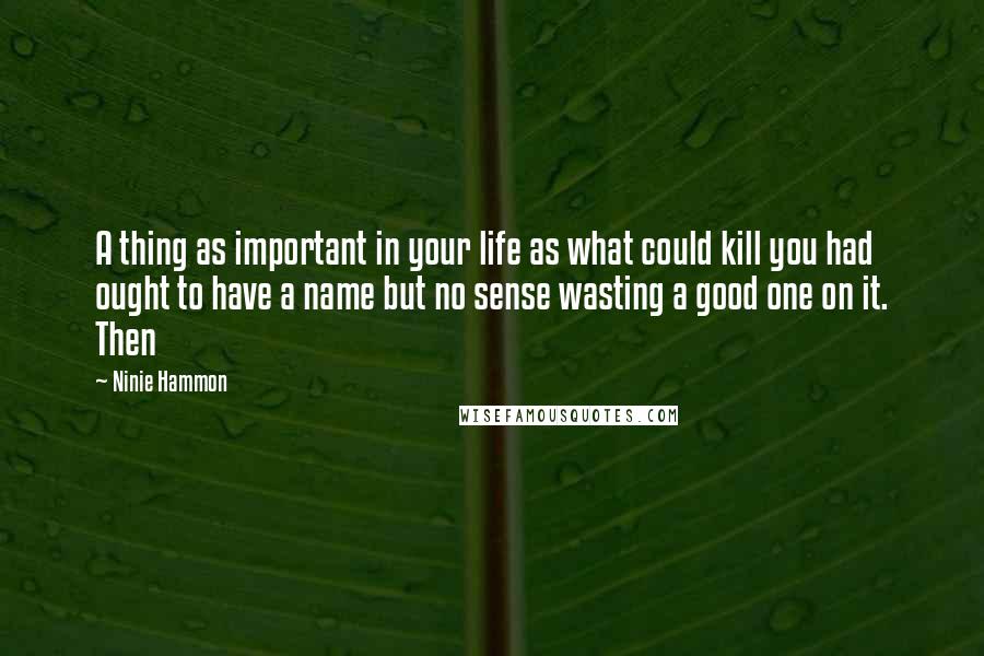 Ninie Hammon Quotes: A thing as important in your life as what could kill you had ought to have a name but no sense wasting a good one on it. Then