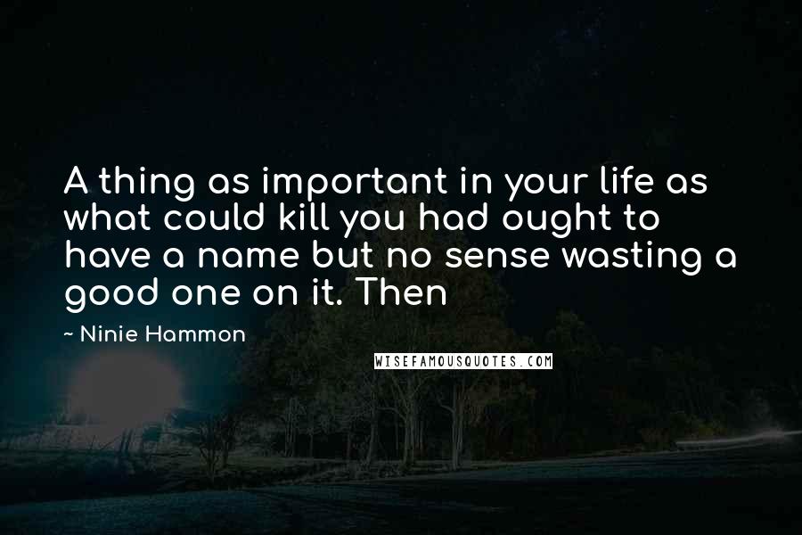 Ninie Hammon Quotes: A thing as important in your life as what could kill you had ought to have a name but no sense wasting a good one on it. Then