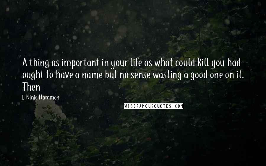 Ninie Hammon Quotes: A thing as important in your life as what could kill you had ought to have a name but no sense wasting a good one on it. Then