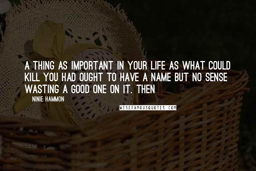 Ninie Hammon Quotes: A thing as important in your life as what could kill you had ought to have a name but no sense wasting a good one on it. Then