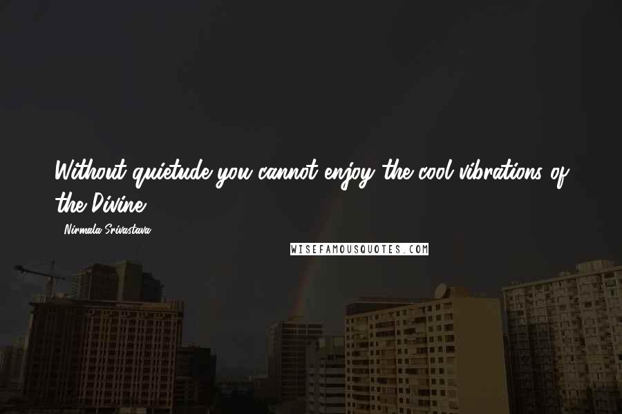 Nirmala Srivastava Quotes: Without quietude you cannot enjoy the cool vibrations of the Divine.