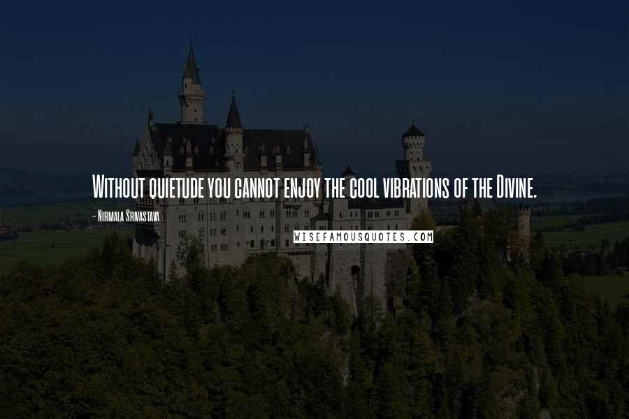 Nirmala Srivastava Quotes: Without quietude you cannot enjoy the cool vibrations of the Divine.