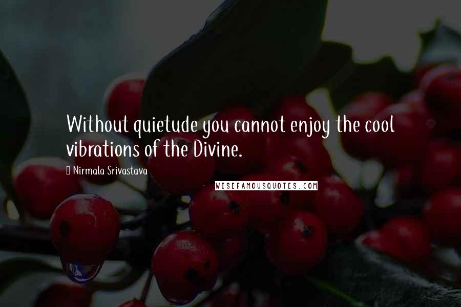 Nirmala Srivastava Quotes: Without quietude you cannot enjoy the cool vibrations of the Divine.