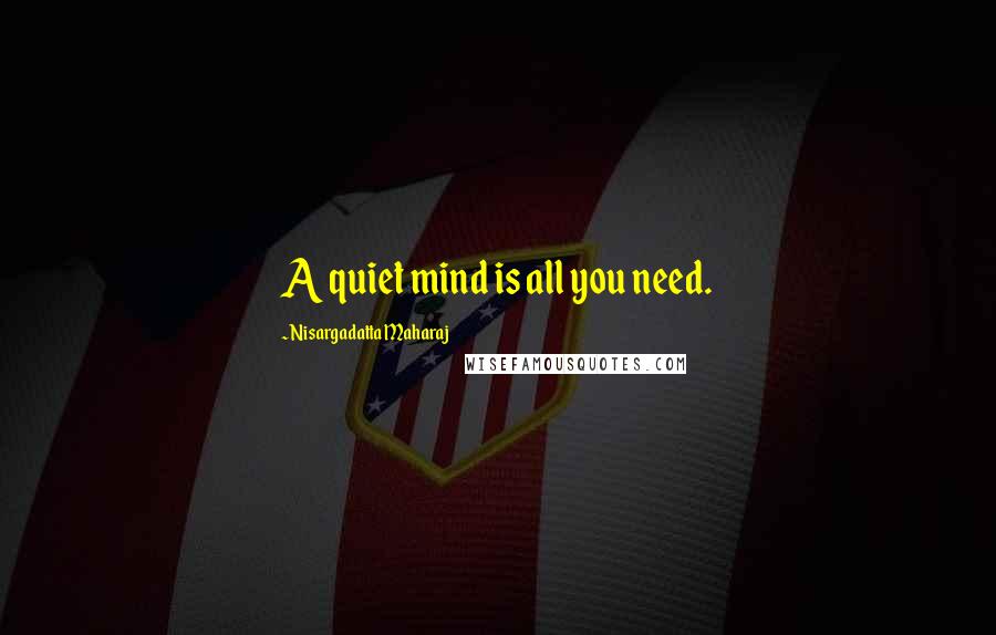 Nisargadatta Maharaj Quotes: A quiet mind is all you need.