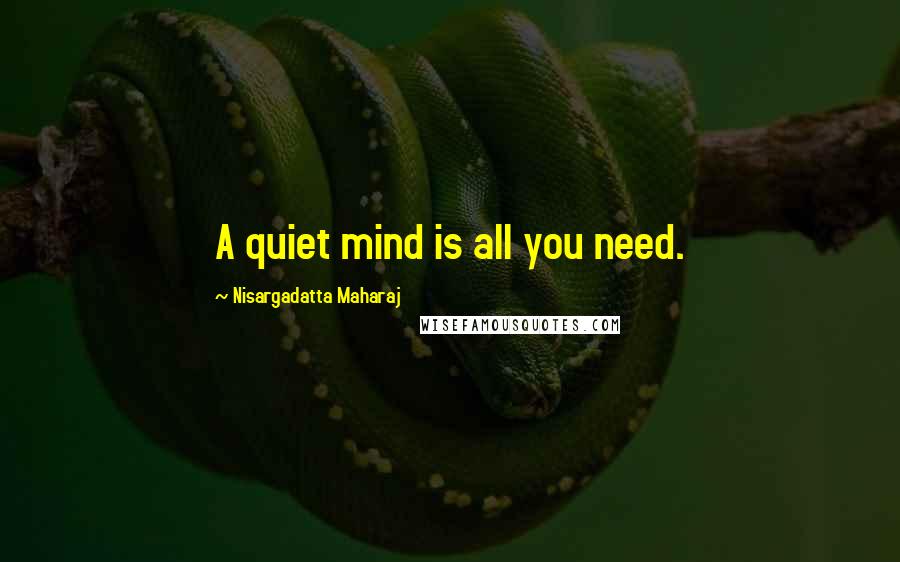 Nisargadatta Maharaj Quotes: A quiet mind is all you need.