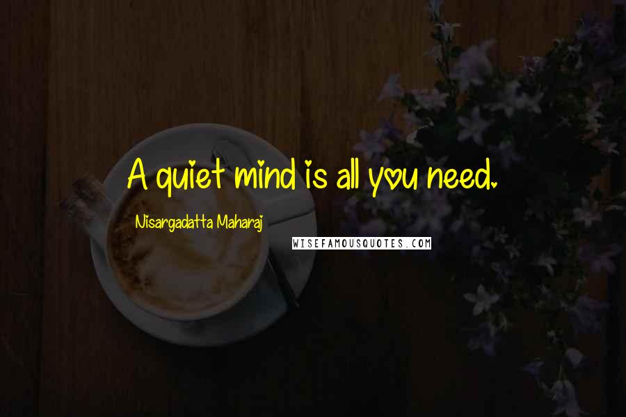 Nisargadatta Maharaj Quotes: A quiet mind is all you need.