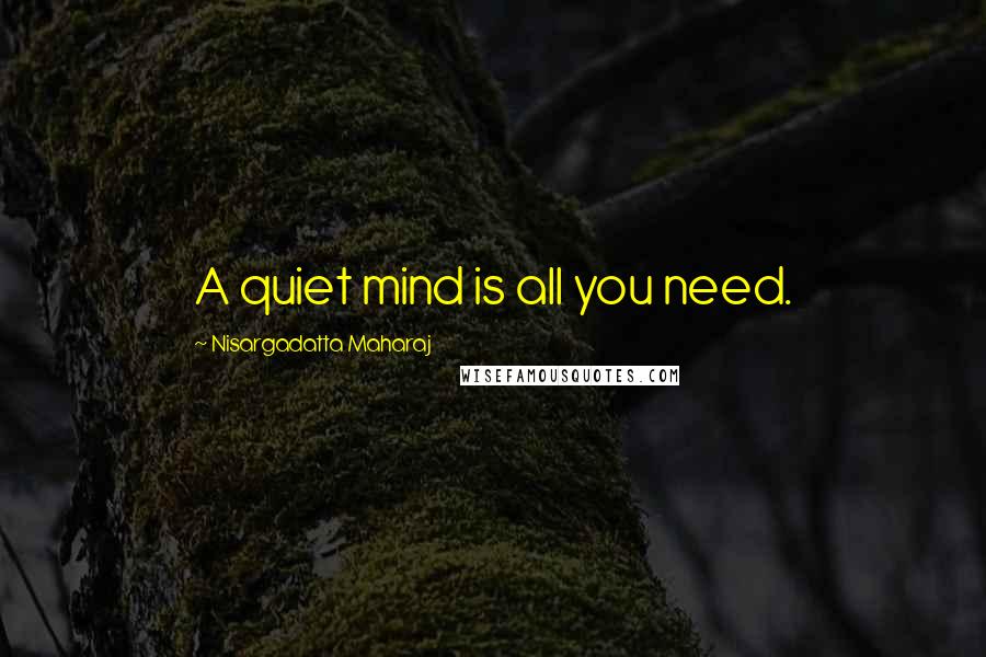 Nisargadatta Maharaj Quotes: A quiet mind is all you need.