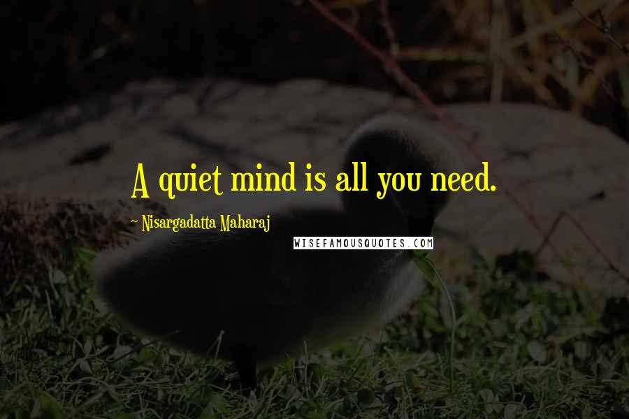 Nisargadatta Maharaj Quotes: A quiet mind is all you need.