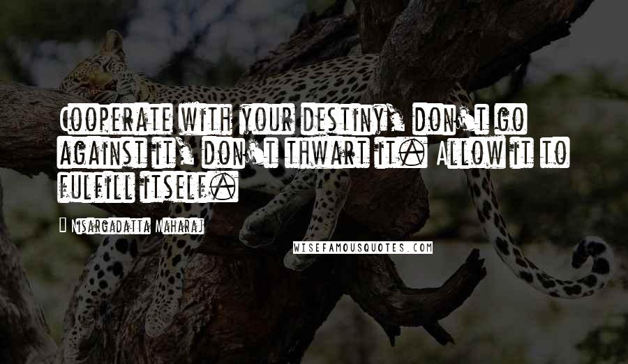 Nisargadatta Maharaj Quotes: Cooperate with your destiny, don't go against it, don't thwart it. Allow it to fulfill itself.