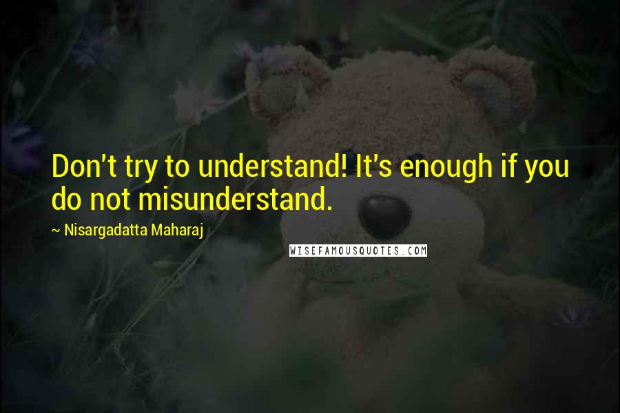 Nisargadatta Maharaj Quotes: Don't try to understand! It's enough if you do not misunderstand.