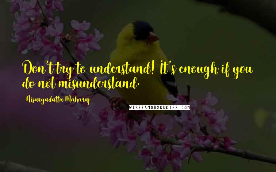 Nisargadatta Maharaj Quotes: Don't try to understand! It's enough if you do not misunderstand.