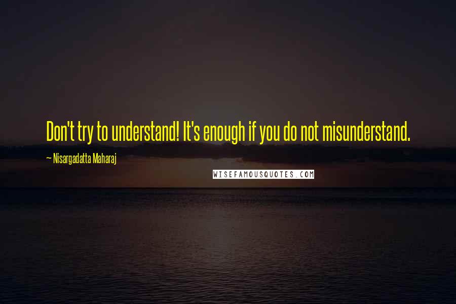 Nisargadatta Maharaj Quotes: Don't try to understand! It's enough if you do not misunderstand.