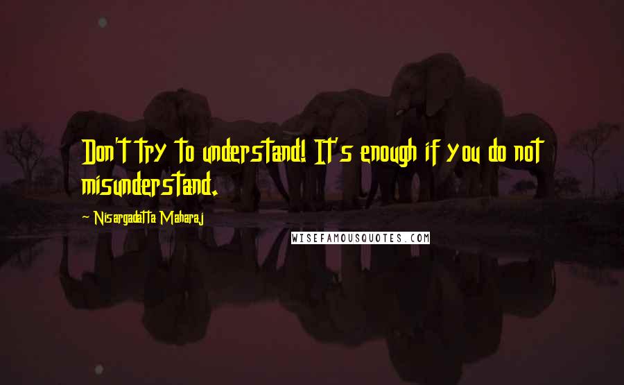 Nisargadatta Maharaj Quotes: Don't try to understand! It's enough if you do not misunderstand.