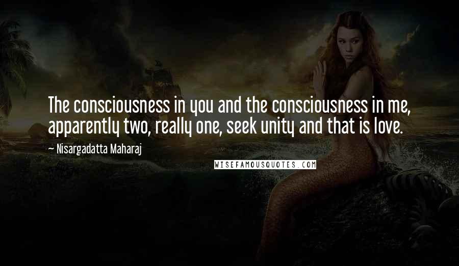 Nisargadatta Maharaj Quotes: The consciousness in you and the consciousness in me, apparently two, really one, seek unity and that is love.