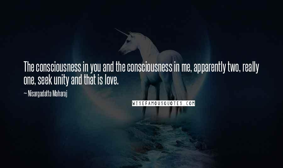 Nisargadatta Maharaj Quotes: The consciousness in you and the consciousness in me, apparently two, really one, seek unity and that is love.