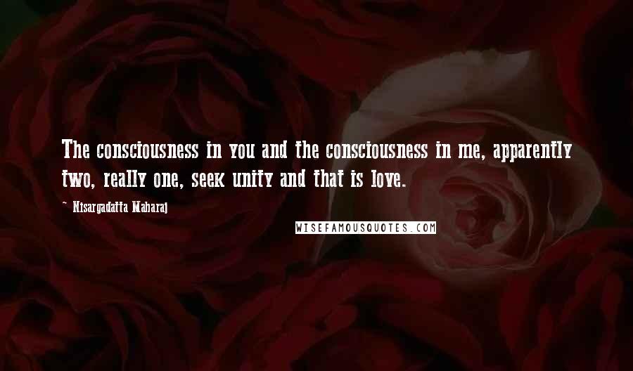 Nisargadatta Maharaj Quotes: The consciousness in you and the consciousness in me, apparently two, really one, seek unity and that is love.