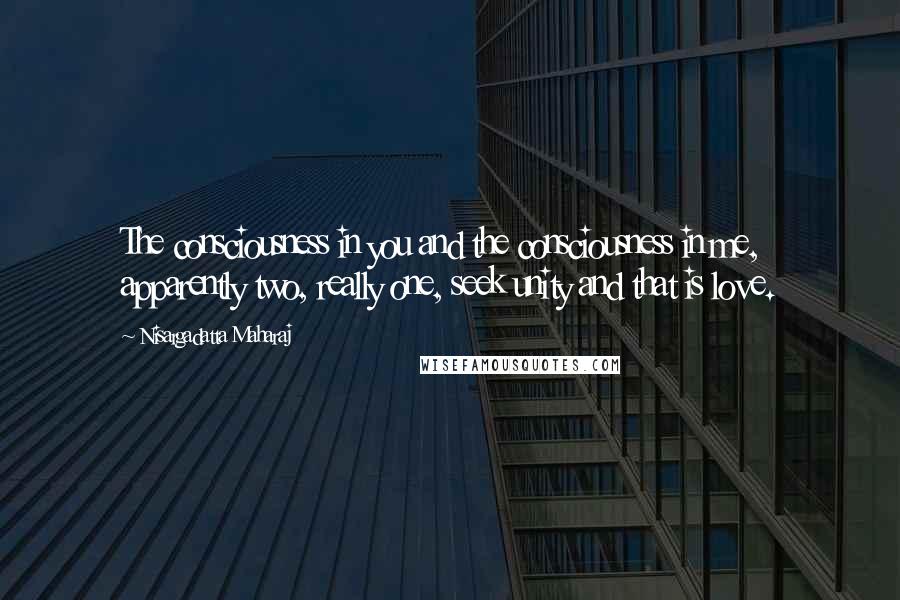 Nisargadatta Maharaj Quotes: The consciousness in you and the consciousness in me, apparently two, really one, seek unity and that is love.