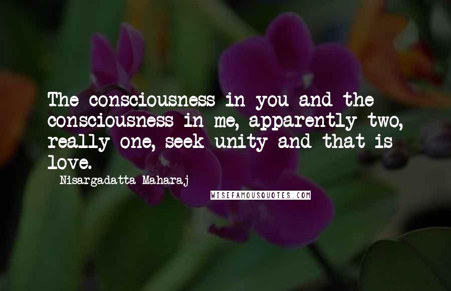 Nisargadatta Maharaj Quotes: The consciousness in you and the consciousness in me, apparently two, really one, seek unity and that is love.