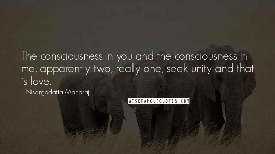 Nisargadatta Maharaj Quotes: The consciousness in you and the consciousness in me, apparently two, really one, seek unity and that is love.