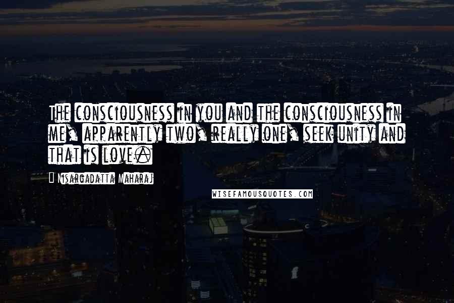 Nisargadatta Maharaj Quotes: The consciousness in you and the consciousness in me, apparently two, really one, seek unity and that is love.