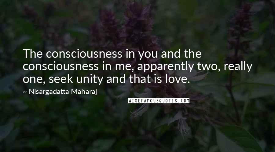 Nisargadatta Maharaj Quotes: The consciousness in you and the consciousness in me, apparently two, really one, seek unity and that is love.