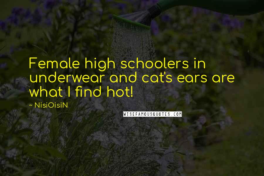 NisiOisiN Quotes: Female high schoolers in underwear and cat's ears are what I find hot!