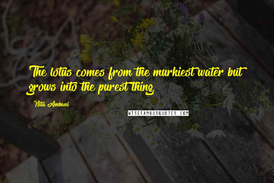 Nita Ambani Quotes: The lotus comes from the murkiest water but grows into the purest thing.