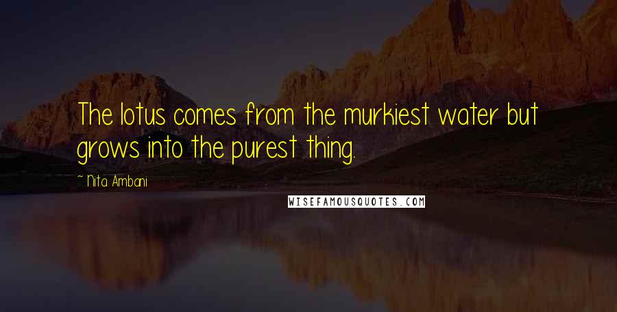Nita Ambani Quotes: The lotus comes from the murkiest water but grows into the purest thing.