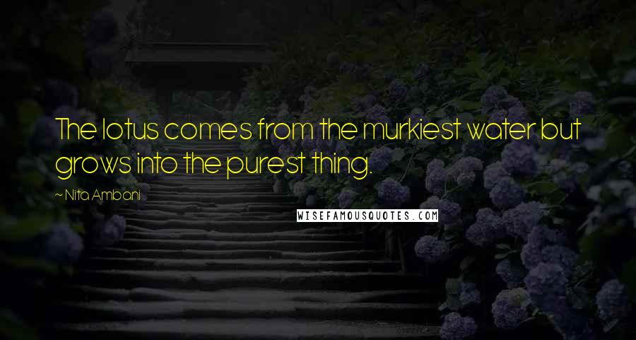 Nita Ambani Quotes: The lotus comes from the murkiest water but grows into the purest thing.