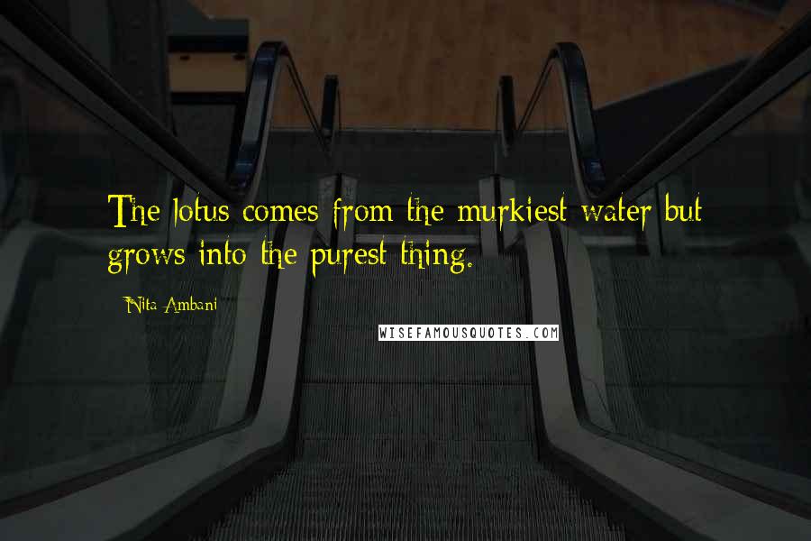Nita Ambani Quotes: The lotus comes from the murkiest water but grows into the purest thing.