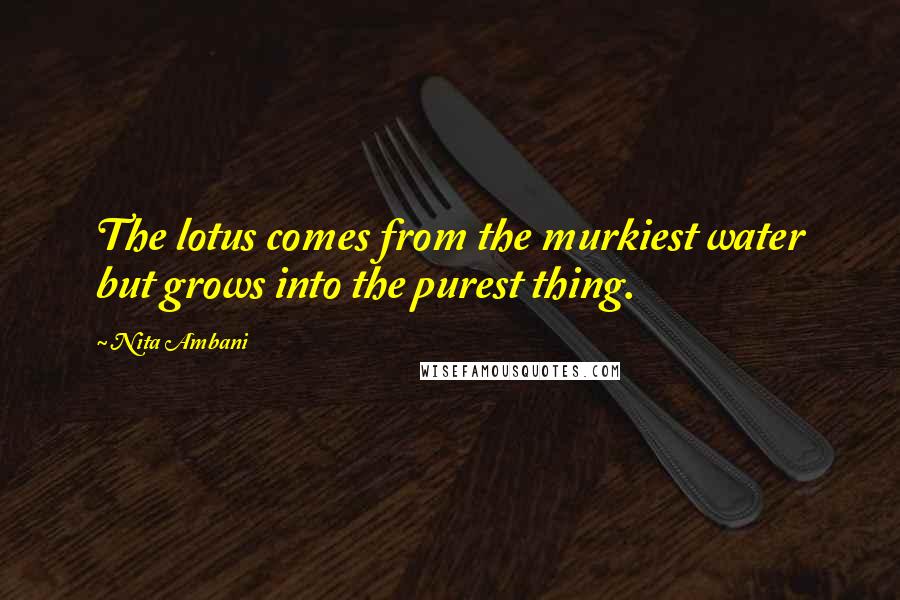 Nita Ambani Quotes: The lotus comes from the murkiest water but grows into the purest thing.