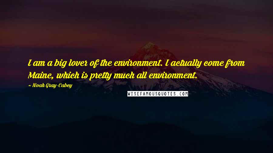 Noah Gray-Cabey Quotes: I am a big lover of the environment. I actually come from Maine, which is pretty much all environment.