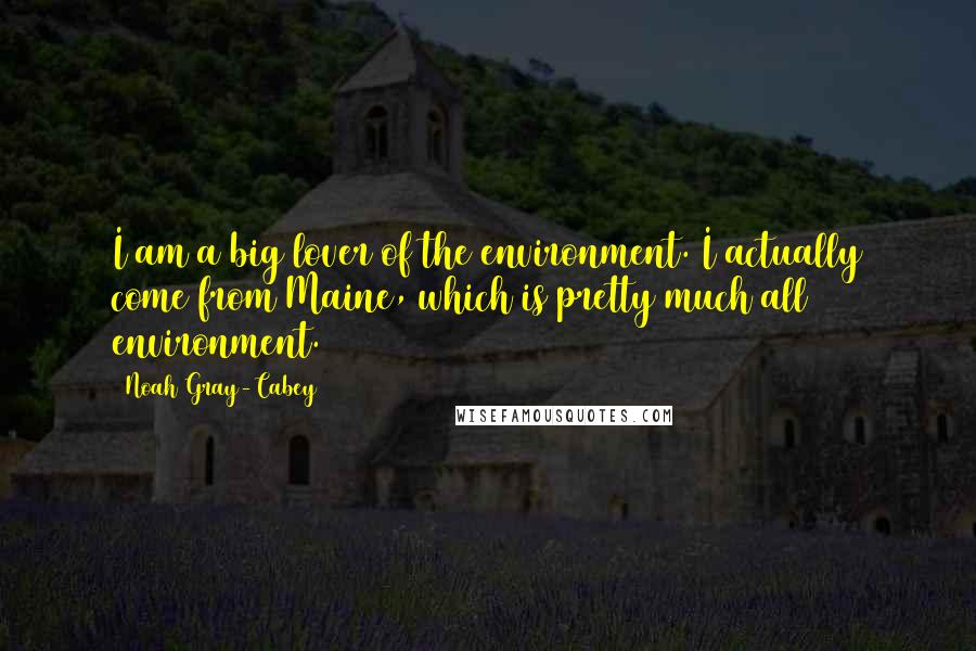 Noah Gray-Cabey Quotes: I am a big lover of the environment. I actually come from Maine, which is pretty much all environment.