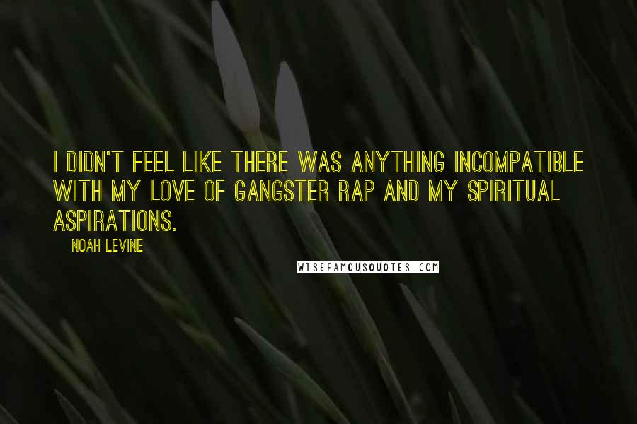 Noah Levine Quotes: I didn't feel like there was anything incompatible with my love of gangster rap and my spiritual aspirations.