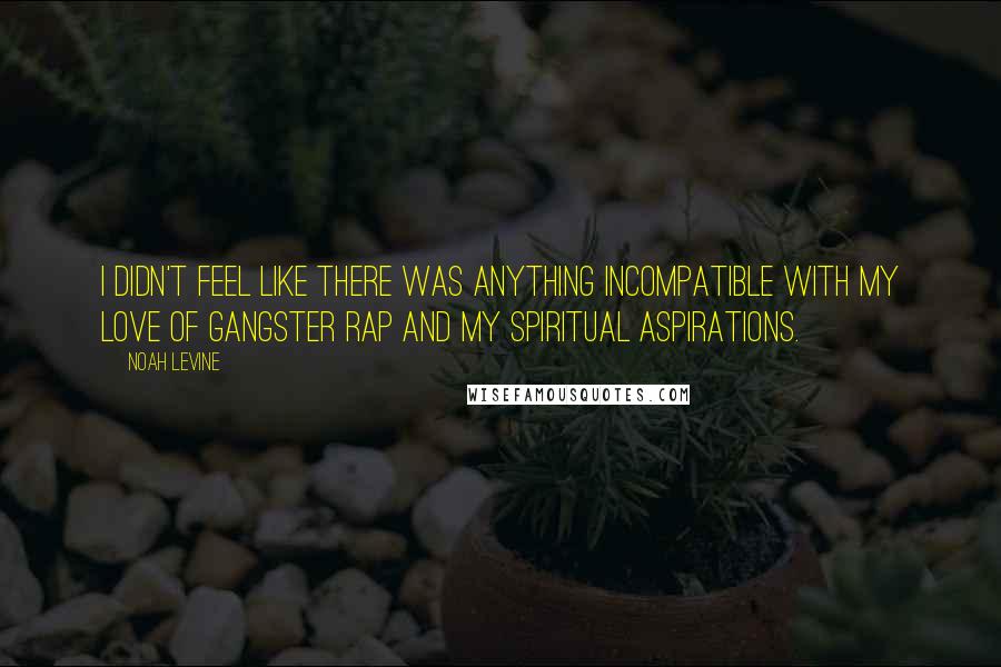 Noah Levine Quotes: I didn't feel like there was anything incompatible with my love of gangster rap and my spiritual aspirations.