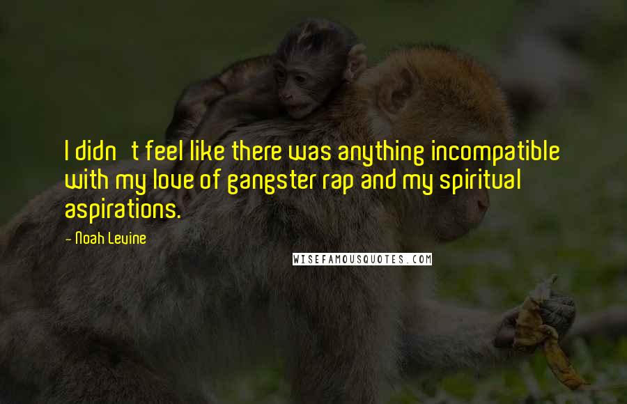 Noah Levine Quotes: I didn't feel like there was anything incompatible with my love of gangster rap and my spiritual aspirations.