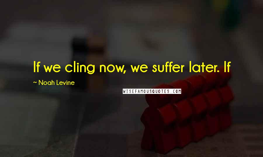 Noah Levine Quotes: If we cling now, we suffer later. If