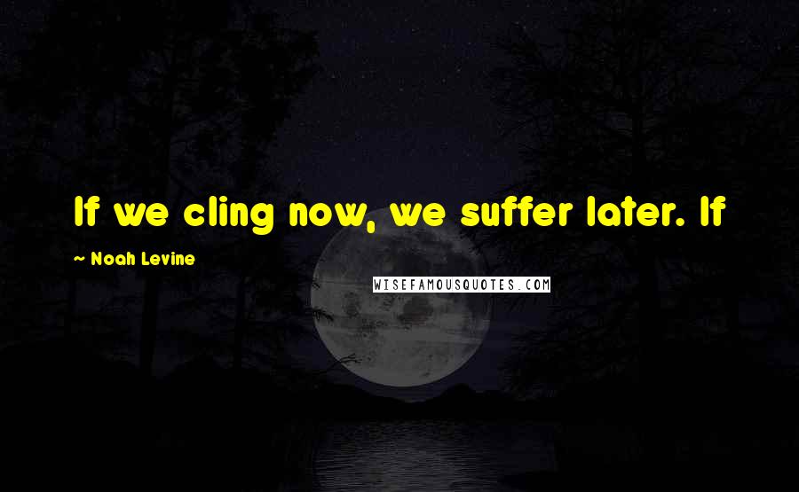 Noah Levine Quotes: If we cling now, we suffer later. If