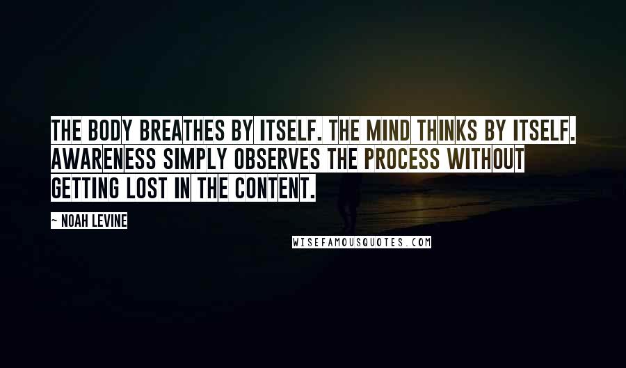 Noah Levine Quotes: The body breathes by itself. The mind thinks by itself. Awareness simply observes the process without getting lost in the content.