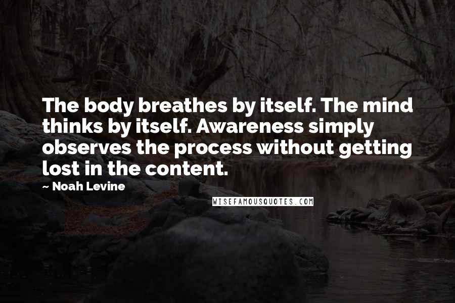 Noah Levine Quotes: The body breathes by itself. The mind thinks by itself. Awareness simply observes the process without getting lost in the content.