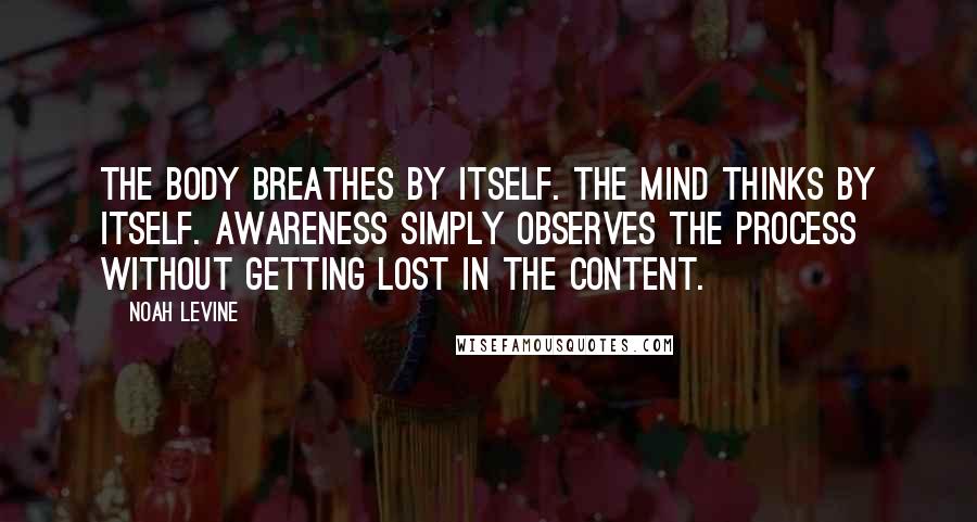 Noah Levine Quotes: The body breathes by itself. The mind thinks by itself. Awareness simply observes the process without getting lost in the content.