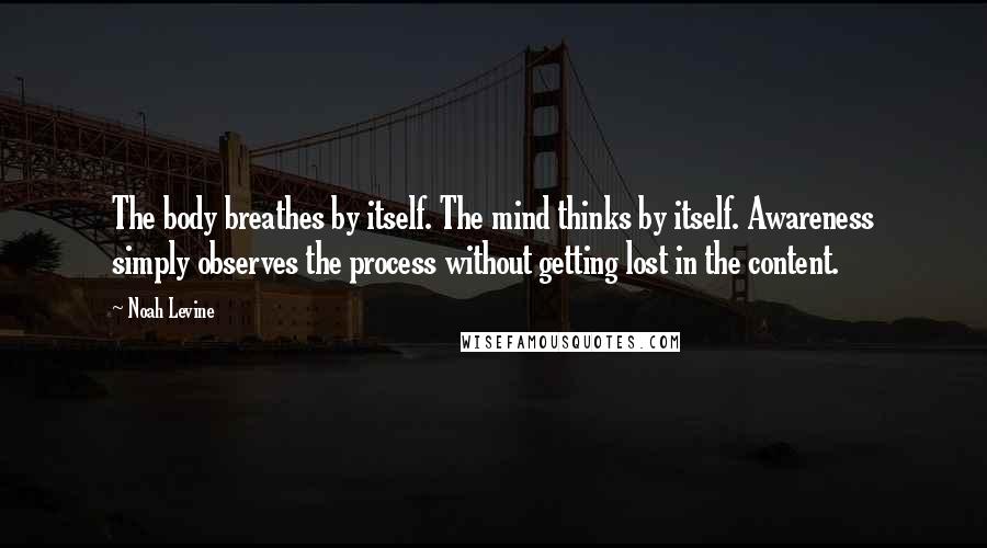 Noah Levine Quotes: The body breathes by itself. The mind thinks by itself. Awareness simply observes the process without getting lost in the content.