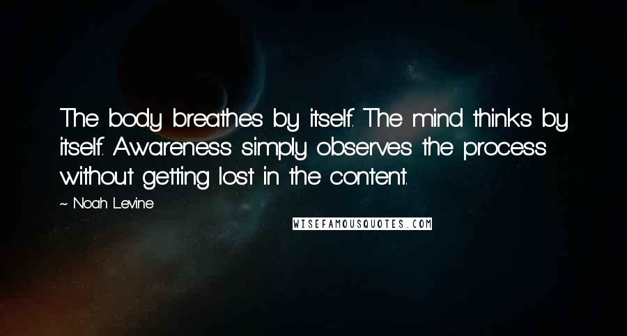 Noah Levine Quotes: The body breathes by itself. The mind thinks by itself. Awareness simply observes the process without getting lost in the content.