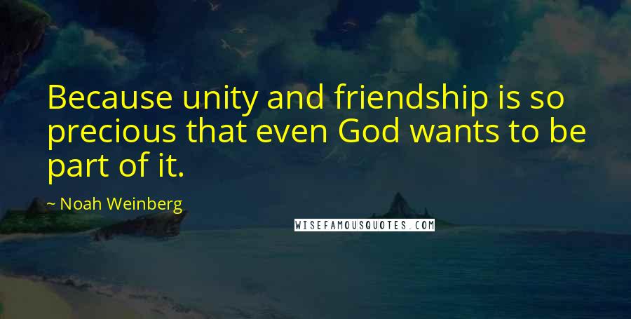 Noah Weinberg Quotes: Because unity and friendship is so precious that even God wants to be part of it.