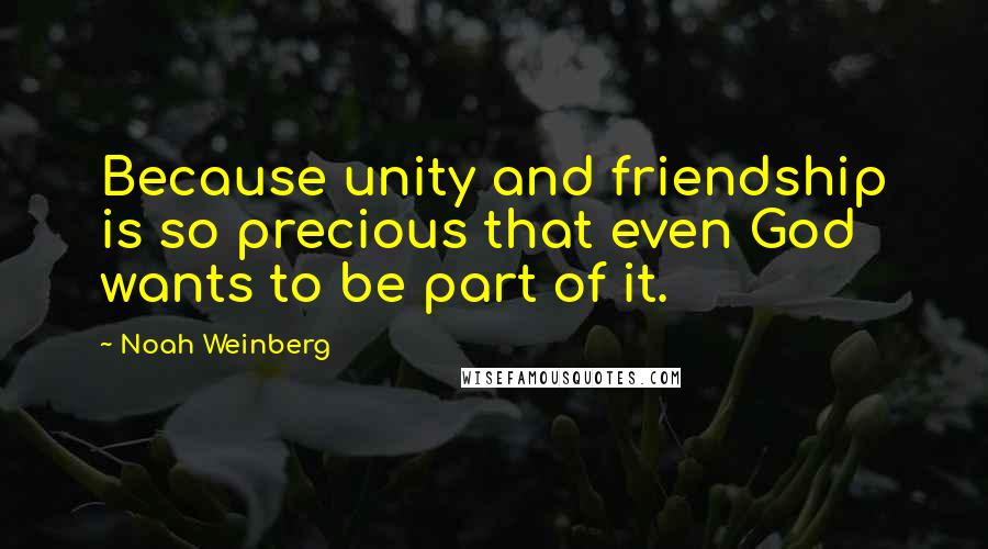 Noah Weinberg Quotes: Because unity and friendship is so precious that even God wants to be part of it.