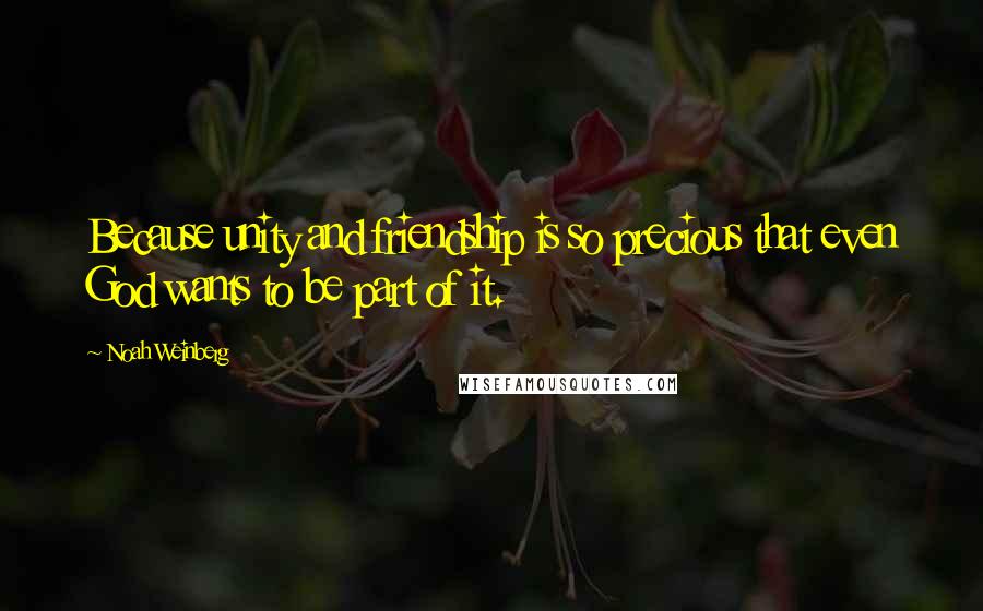 Noah Weinberg Quotes: Because unity and friendship is so precious that even God wants to be part of it.