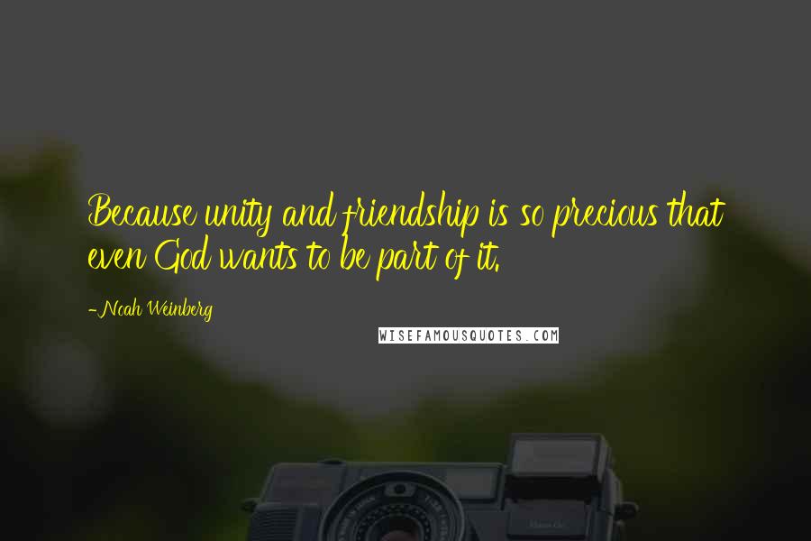 Noah Weinberg Quotes: Because unity and friendship is so precious that even God wants to be part of it.