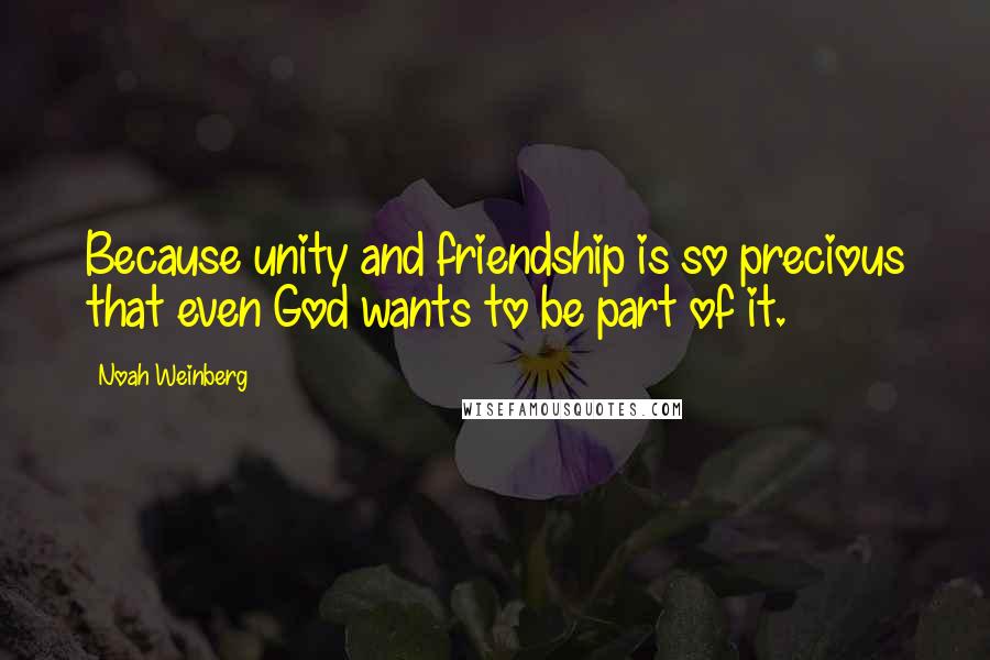 Noah Weinberg Quotes: Because unity and friendship is so precious that even God wants to be part of it.